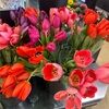 annamcdonald23